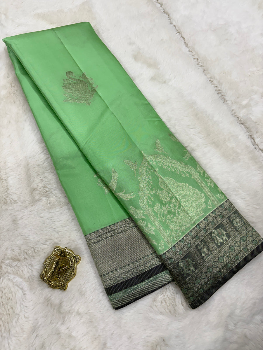 Pista Green Kanchi Pattu